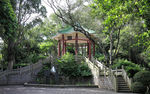 深圳中心公园