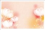花纹壁纸