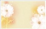 花纹壁纸