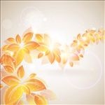 花纹壁纸