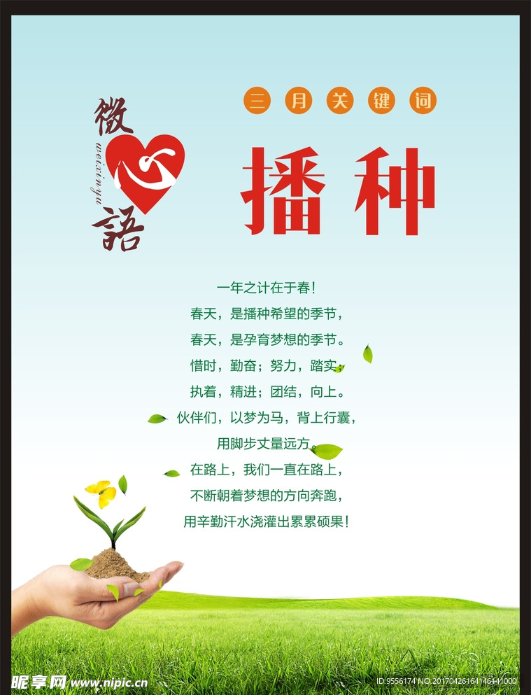 蓝天白云草地