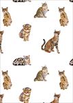猫图案下载猫分层素材下载