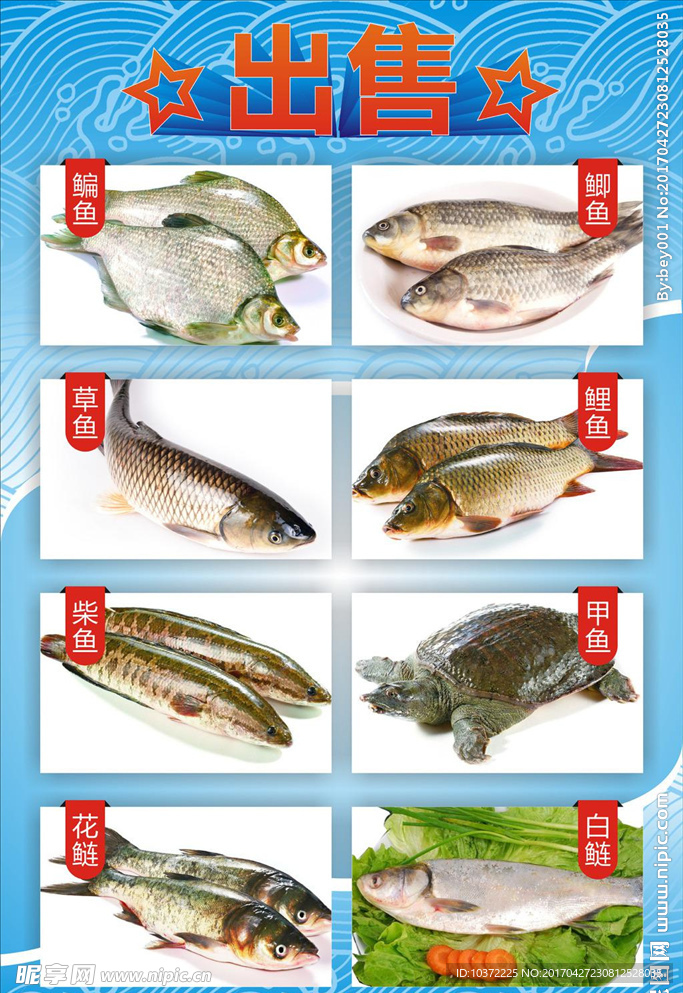 活动宣传促销海报 淡水鱼海报