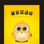 宠物店海报