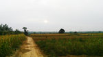 乡间小路