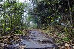 山间小路