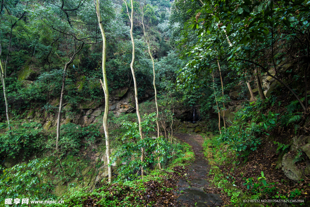 林间小道