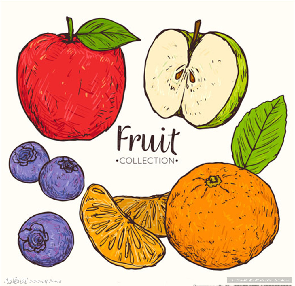 一组手绘的美味水果