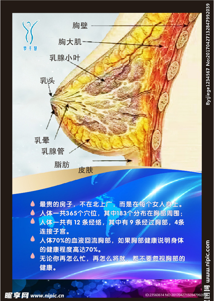 最贵的房子