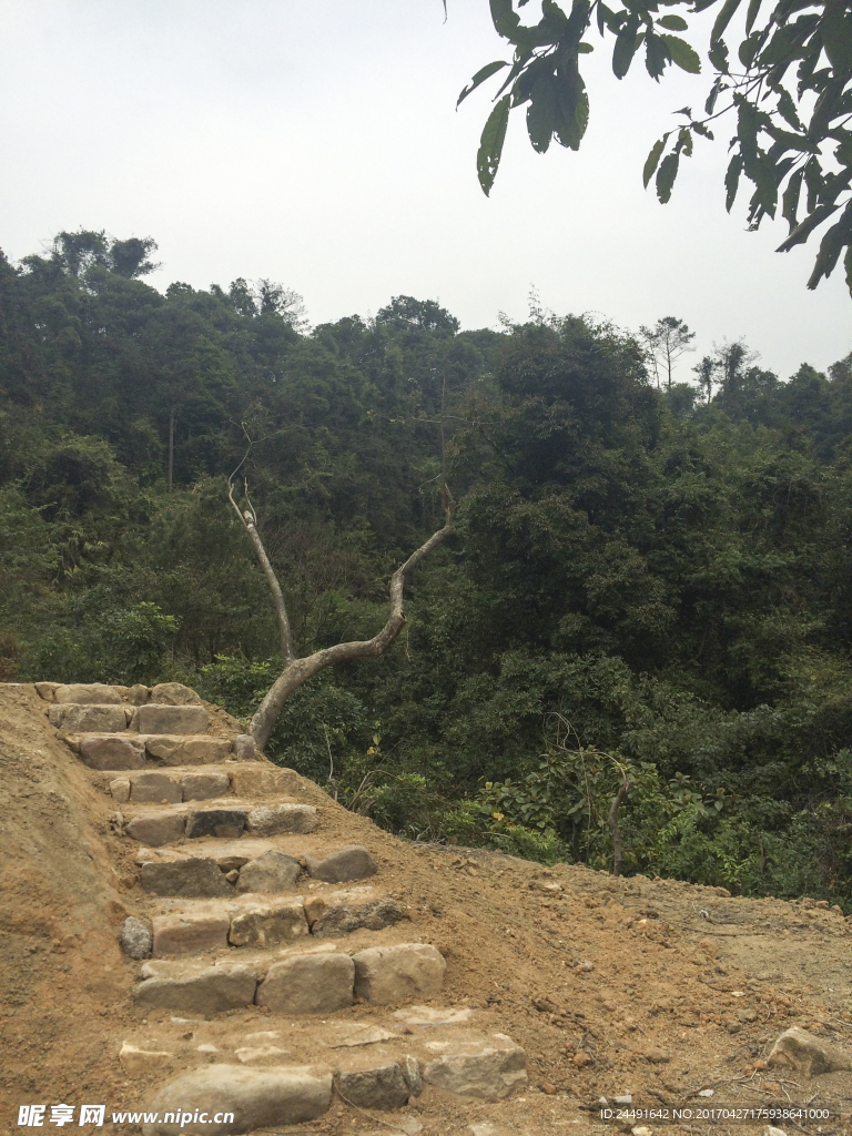 山间泥路