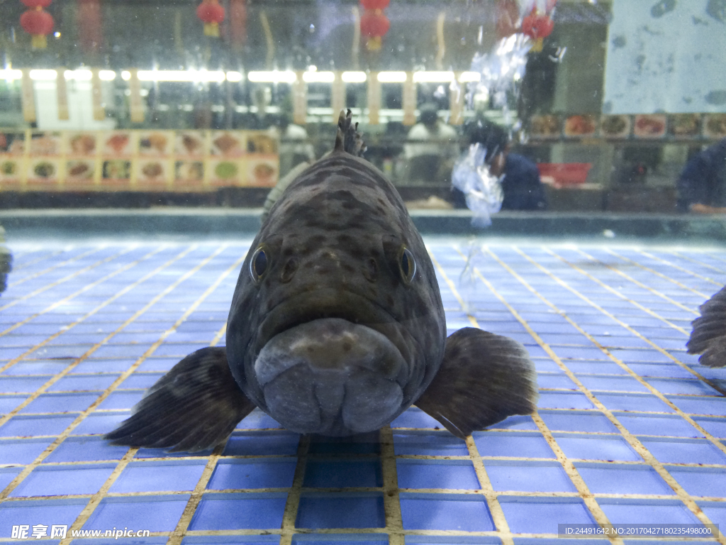海鲜