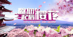 桃粉樱花海报