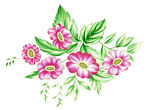 手绘花