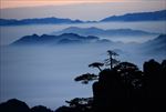 山顶风光