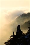 山顶风光