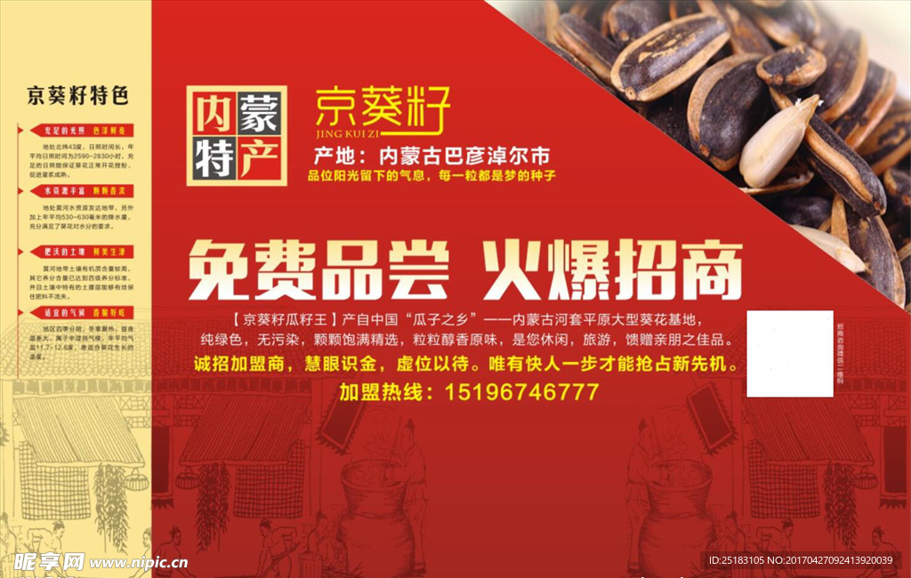 金葵子招商