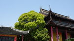周庄古镇