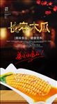 长寿木瓜
