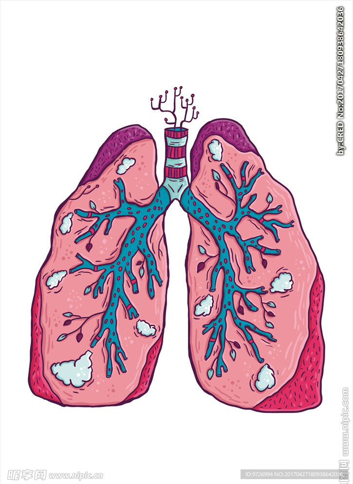 肺部素材下载废布图片下载