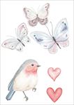 水彩彩绘鸟蝴蝶
