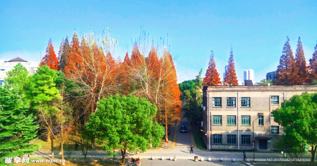 苏大秋天物科楼前风景