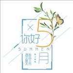 五月新品上市文字排版