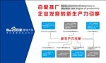 电商系列 2推广