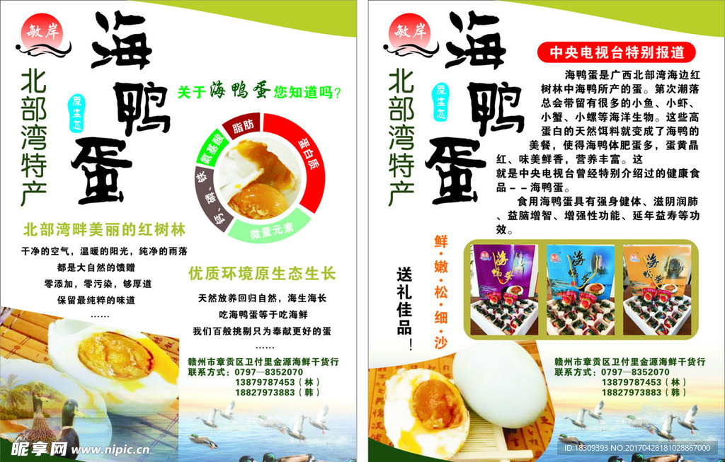 海鸭蛋宣传单