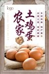 鸡蛋海报