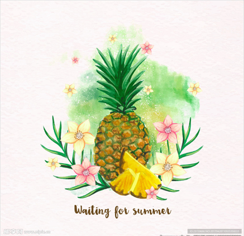 手绘水彩菠萝插图