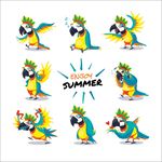 卡通夏季鹦鹉插图