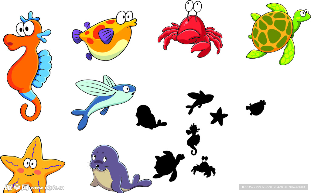 海底世界 海洋动物