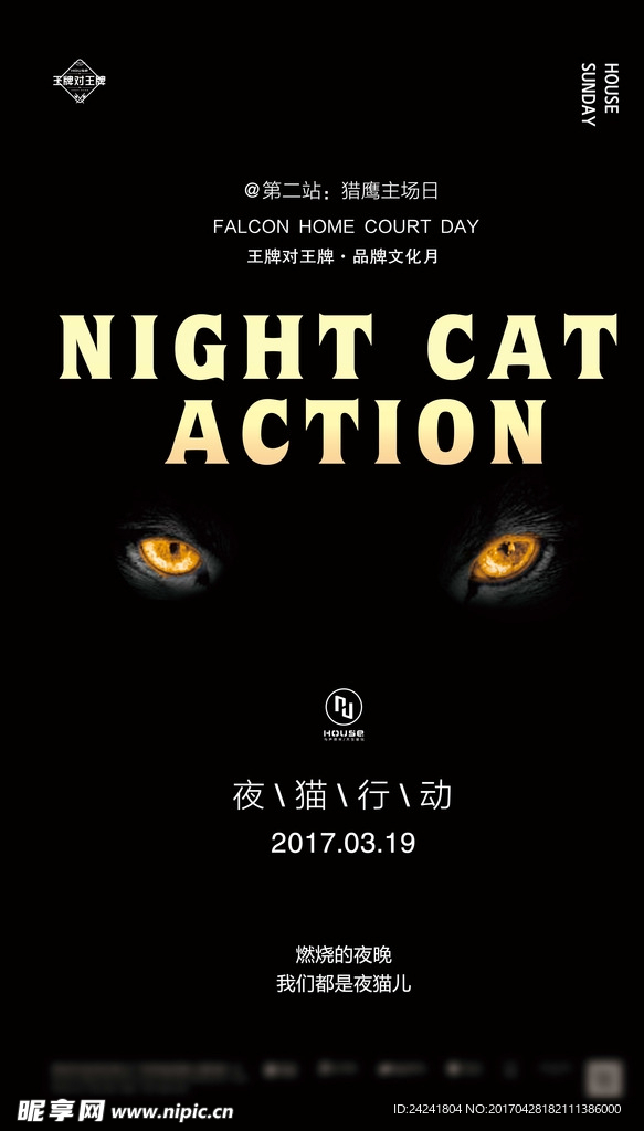 夜猫行动