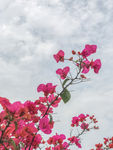 厦门风光