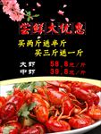 尝鲜大优惠