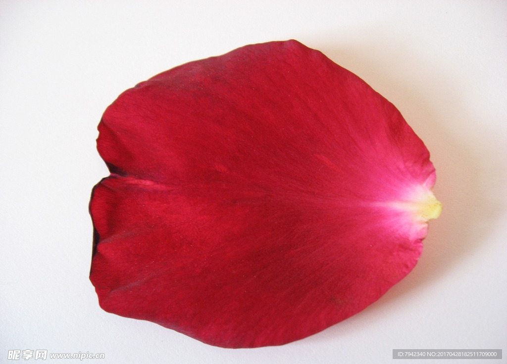 玫瑰花瓣