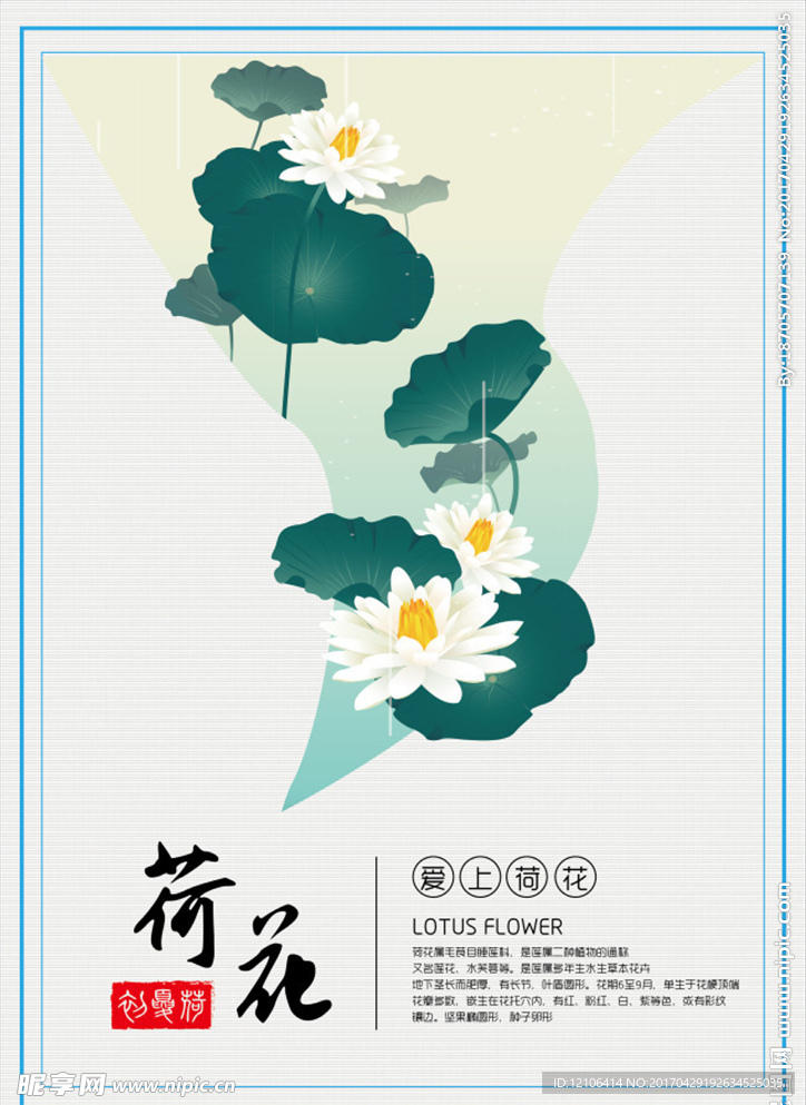 荷花海报