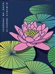 荷花海报