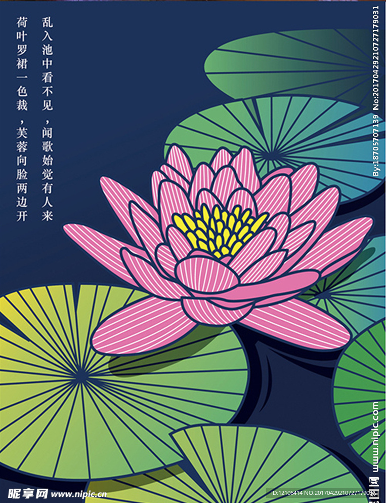 荷花海报