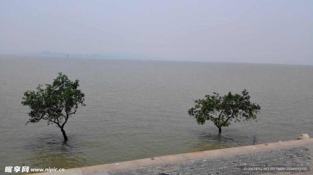 大海风景