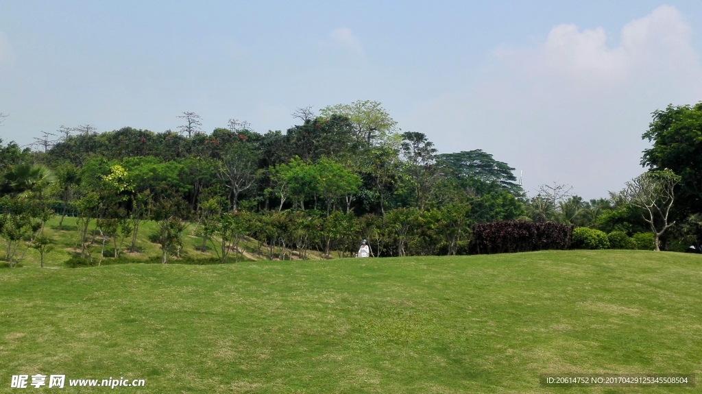 公园美景
