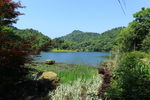 山清水秀