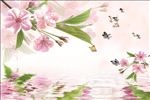 桃花倒影