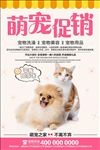 宠物促销