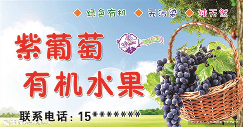 有机水果葡萄
