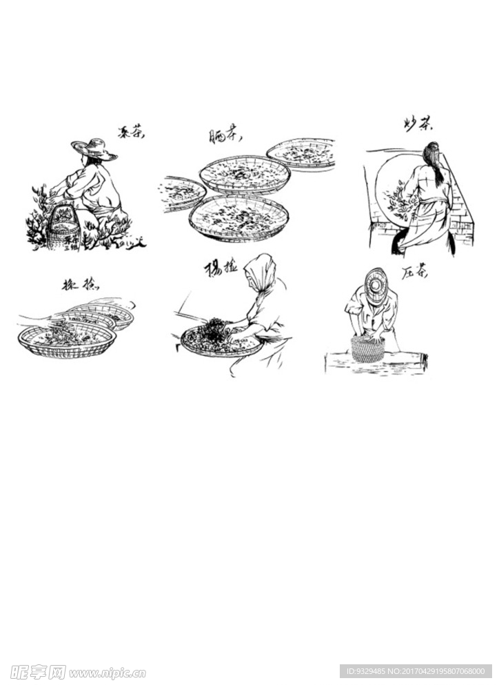 采茶手绘