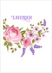 玫瑰花素材下载花朵绿叶字母素材