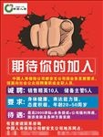 中国人寿招聘