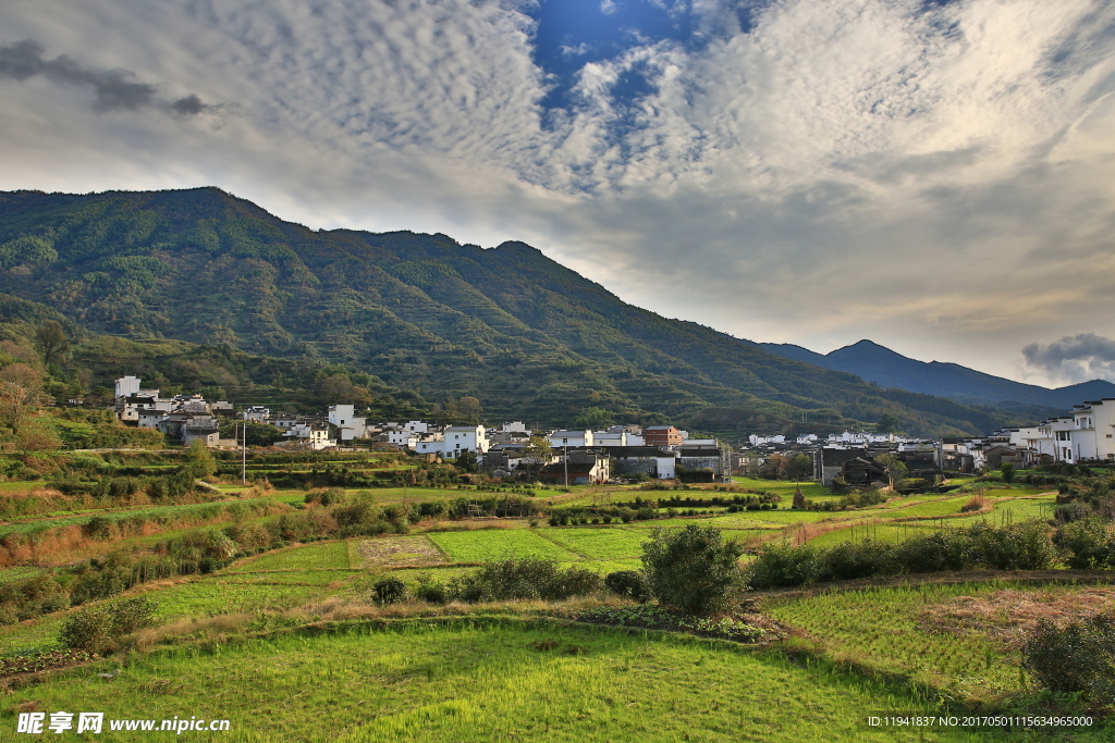 婺源风光 婺源风景