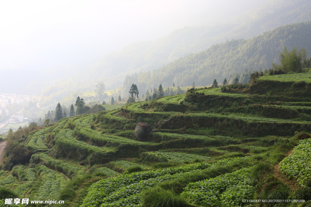 婺源风光 婺源风景